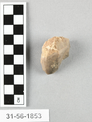 31-56-1853