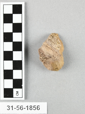 31-56-1855A