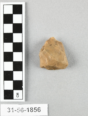 31-56-1855B
