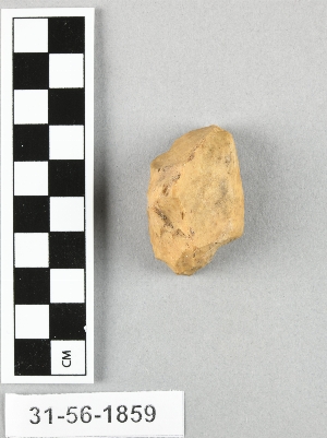 31-56-1859
