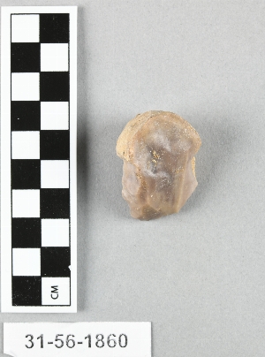31-56-1860