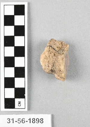 31-56-1899A