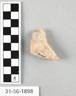 31-56-1899B
