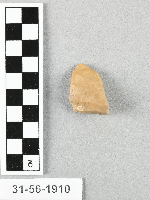 31-56-1910