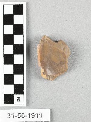 31-56-1911