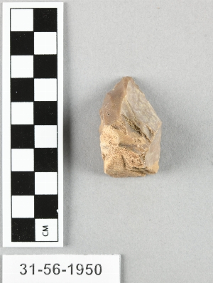 31-56-1950