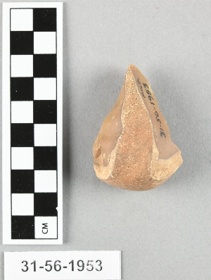 31-56-1953