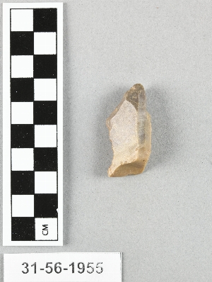 31-56-1955