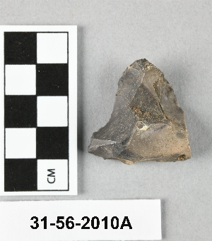 31-56-2010A