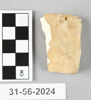 31-56-2024