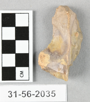 31-56-2035