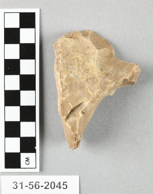 31-56-2045