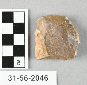 31-56-2046
