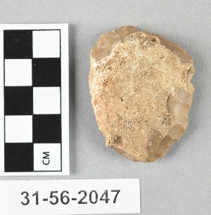 31-56-2047