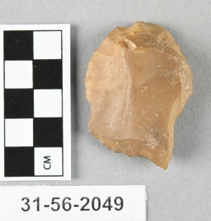 31-56-2049