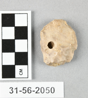 31-56-2050