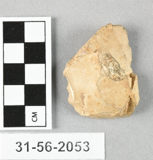 31-56-2053