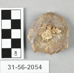 31-56-2054