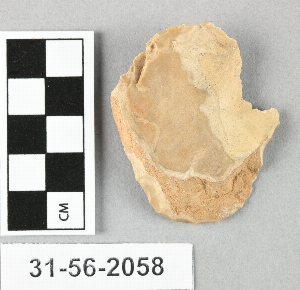 31-56-2058