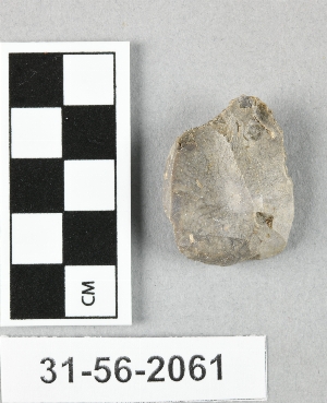 31-56-2061