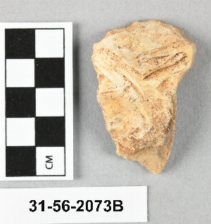 31-56-2073B