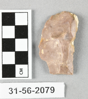31-56-2079