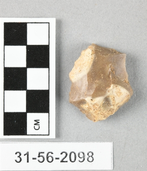 31-56-2098