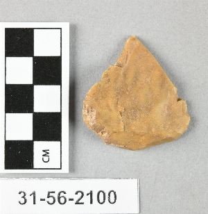 31-56-2100