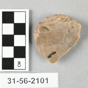 31-56-2101