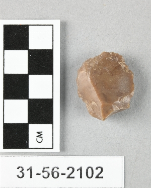 31-56-2102