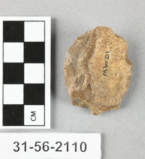 31-56-2110