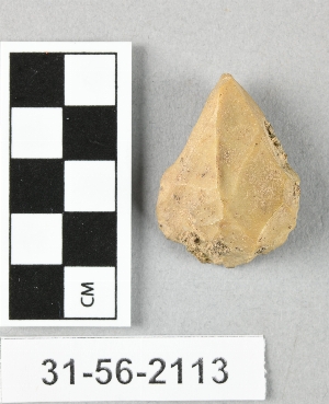 31-56-2113