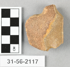 31-56-2117