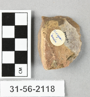 31-56-2118