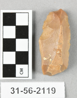 31-56-2119