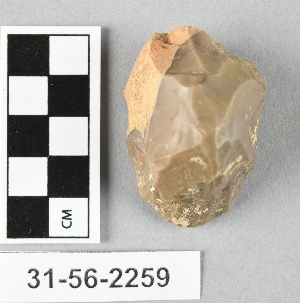 31-56-2259