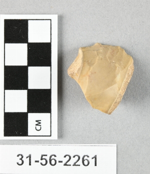 31-56-2261