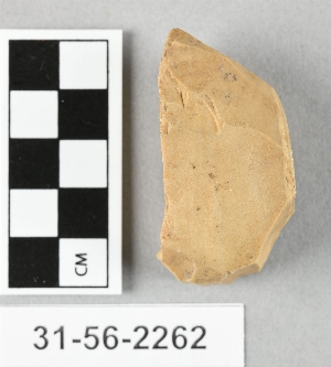 31-56-2262