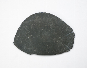 E1224