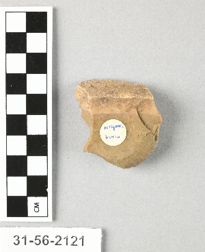 31-56-2121