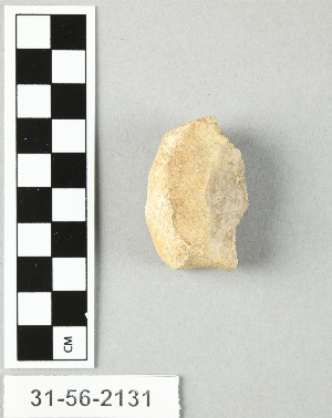 31-56-2131