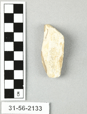 31-56-2133