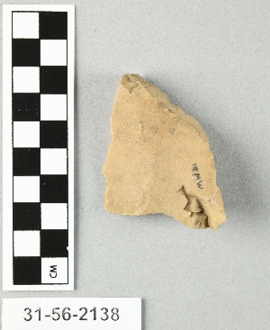 31-56-2138