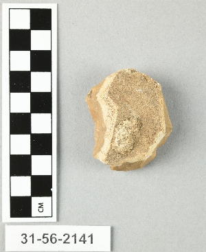 31-56-2141