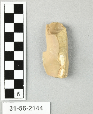 31-56-2144