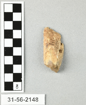 31-56-2148