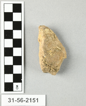 31-56-2151
