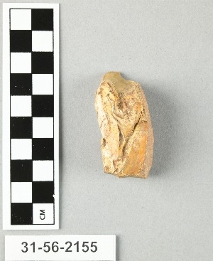 31-56-2155