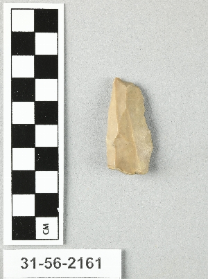31-56-2161