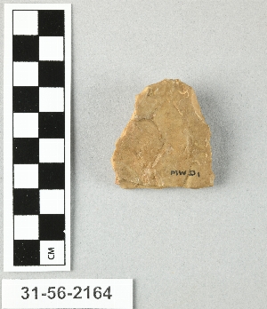 31-56-2164